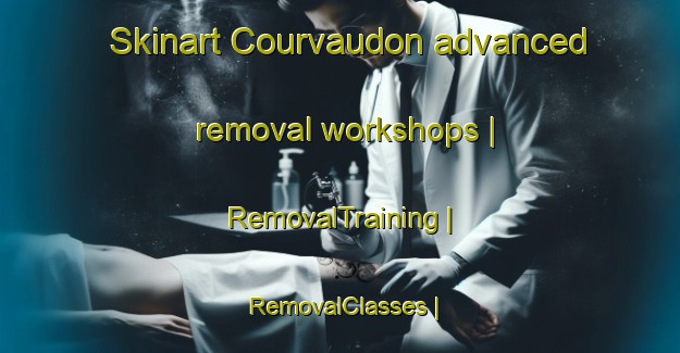 Skinart Courvaudon advanced removal workshops | RemovalTraining | RemovalClasses | SkinartTraining-France